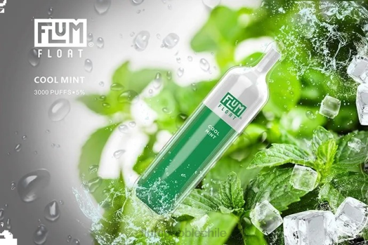 Flum Pebble flavors - FLUM FLOAT 3000 bocanadas menta fresca 0P6L25