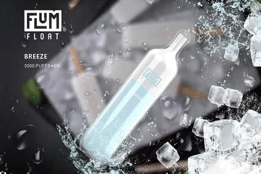 Flum Pebble vape price - FLUM FLOAT 3000 bocanadas brisa 0P6L19