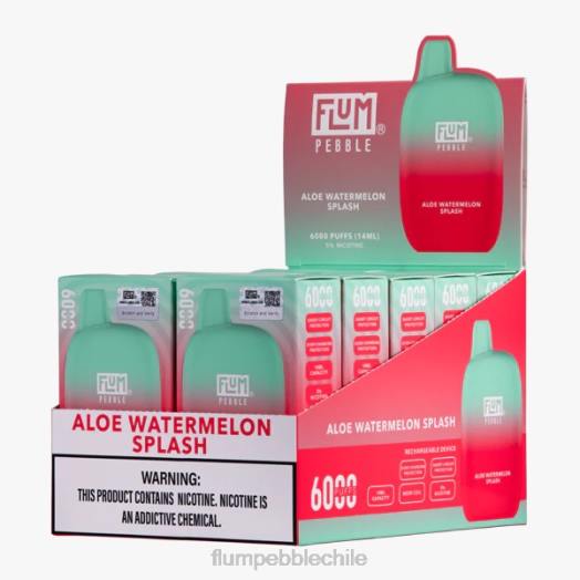 Flum Pebble flavors - FLUM PEBBLES 6000 inhalaciones 10 paquetes salpicaduras de aloe y sandía 0P6L5