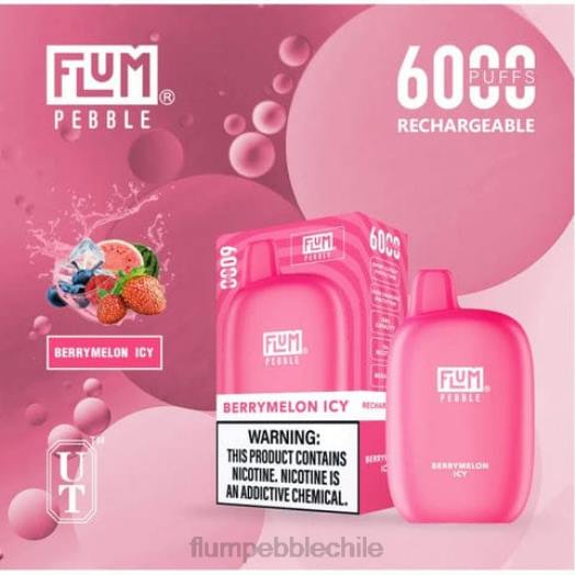 Flum Pebble mayoreo - FLUM PEBBLES 6000 bocanadas melón helado 0P6L7