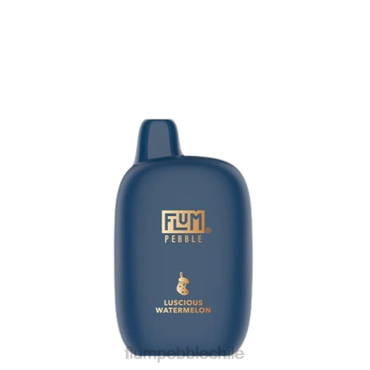 Flum Pebble mayoreo - FLUM PEBBLES 6000 caladas (edición navideña) sandia deliciosa 0P6L37