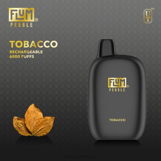 Flum Pebble precio - FLUM PEBBLES 6000 bocanadas tabaco 0P6L83