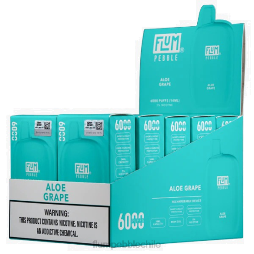 Flum Pebble precio - FLUM PEBBLES 6000 inhalaciones 10 paquetes áloe uva 0P6L3