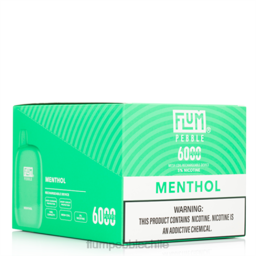 Flum Pebble vape flavors - FLUM PEBBLES 6000 inhalaciones 10 paquetes mentol 0P6L58