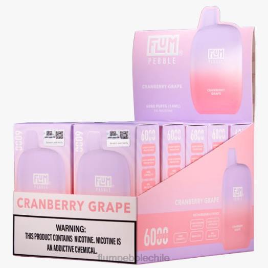 Flum Pebble vape flavors - FLUM PEBBLES 6000 inhalaciones 10 paquetes uva de arándano 0P6L28