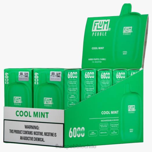 Flum Pebble vape near me - FLUM PEBBLES 6000 inhalaciones 10 paquetes menta fresca 0P6L26