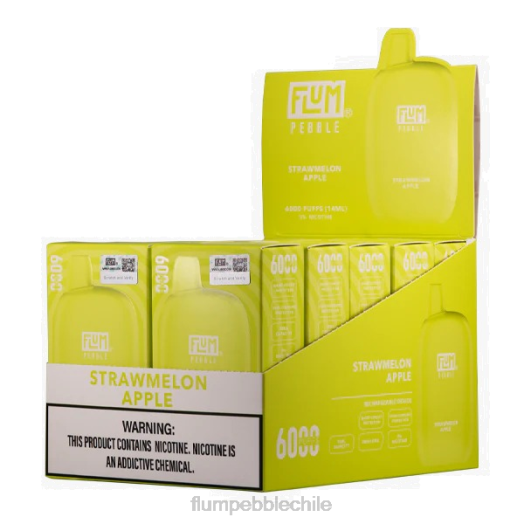 Flum Pebble vape price - FLUM PEBBLES 6000 inhalaciones 10 paquetes manzana melón 0P6L79